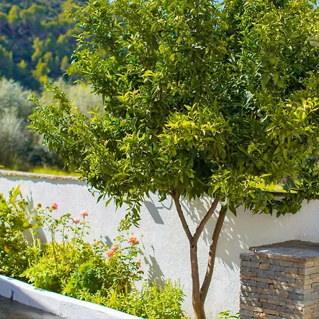 River House Boutique 4* Berat