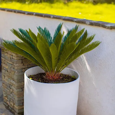 River House Boutique