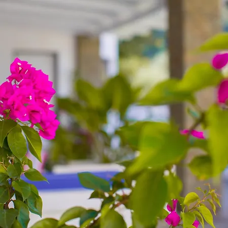 River House Boutique Berati