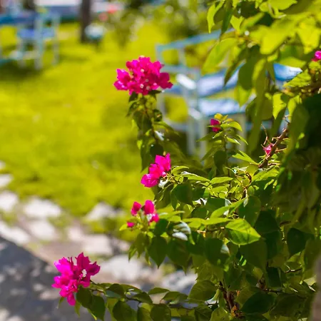 River House Boutique Berat