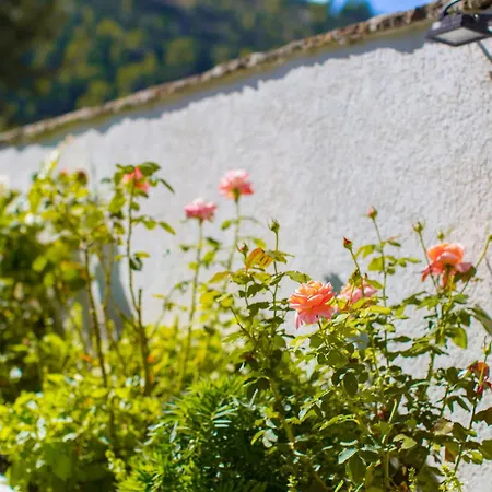 Hotel River House Boutique 4*