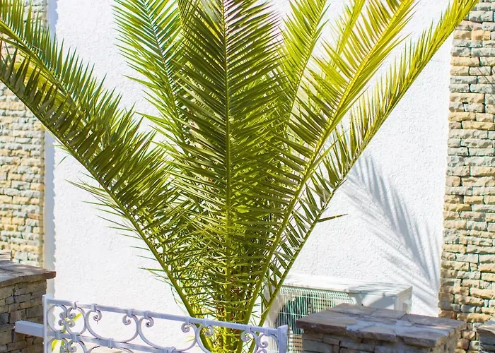 River House Boutique 호텔 베라트