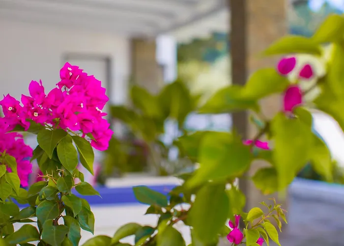 River House Boutique 베라트