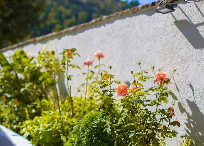 호텔 River House Boutique 4*