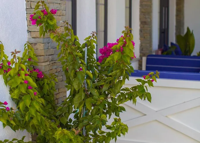 호텔 River House Boutique 베라트