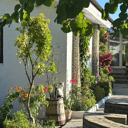 酒店 River House Boutique