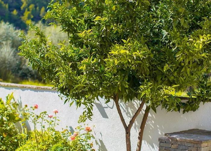 River House Boutique 4* בראט